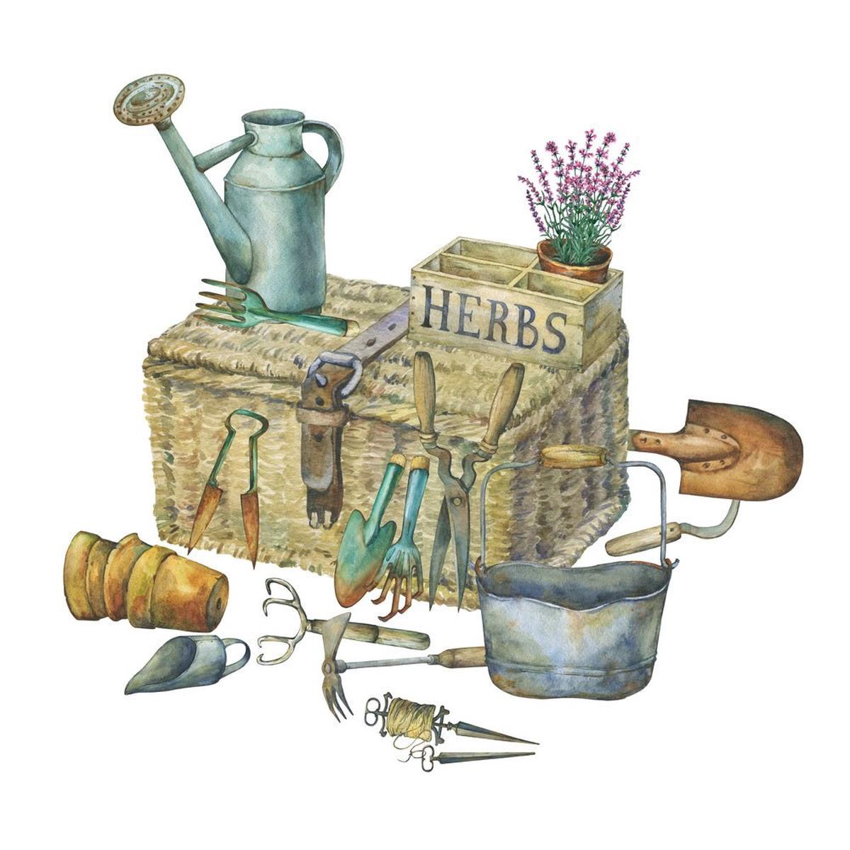 product-details