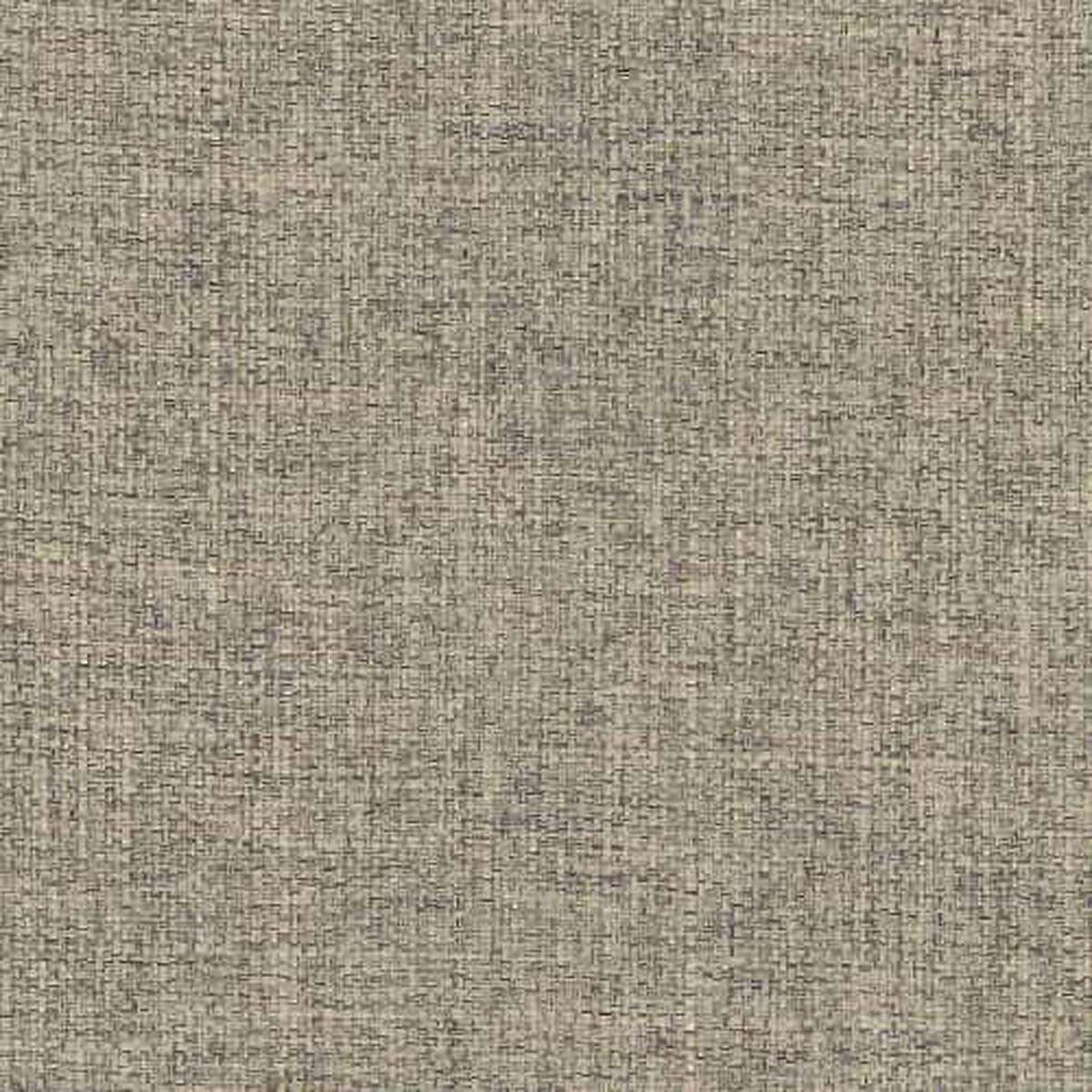 Turbo Mushroom Regal Fabric