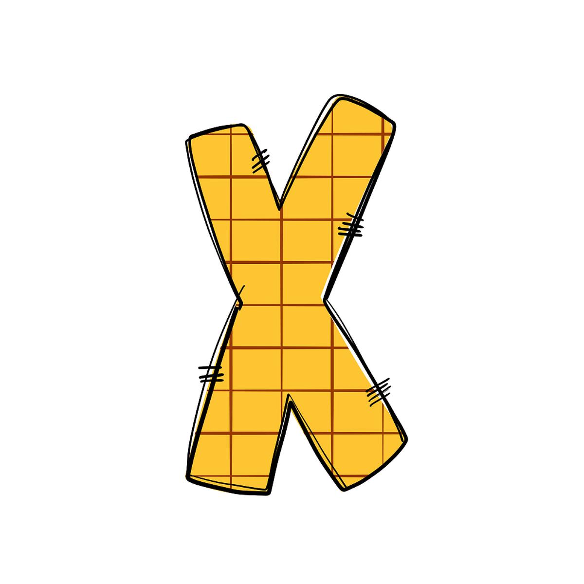 Western Cowboy ''X'' Plaid Fabric Panel