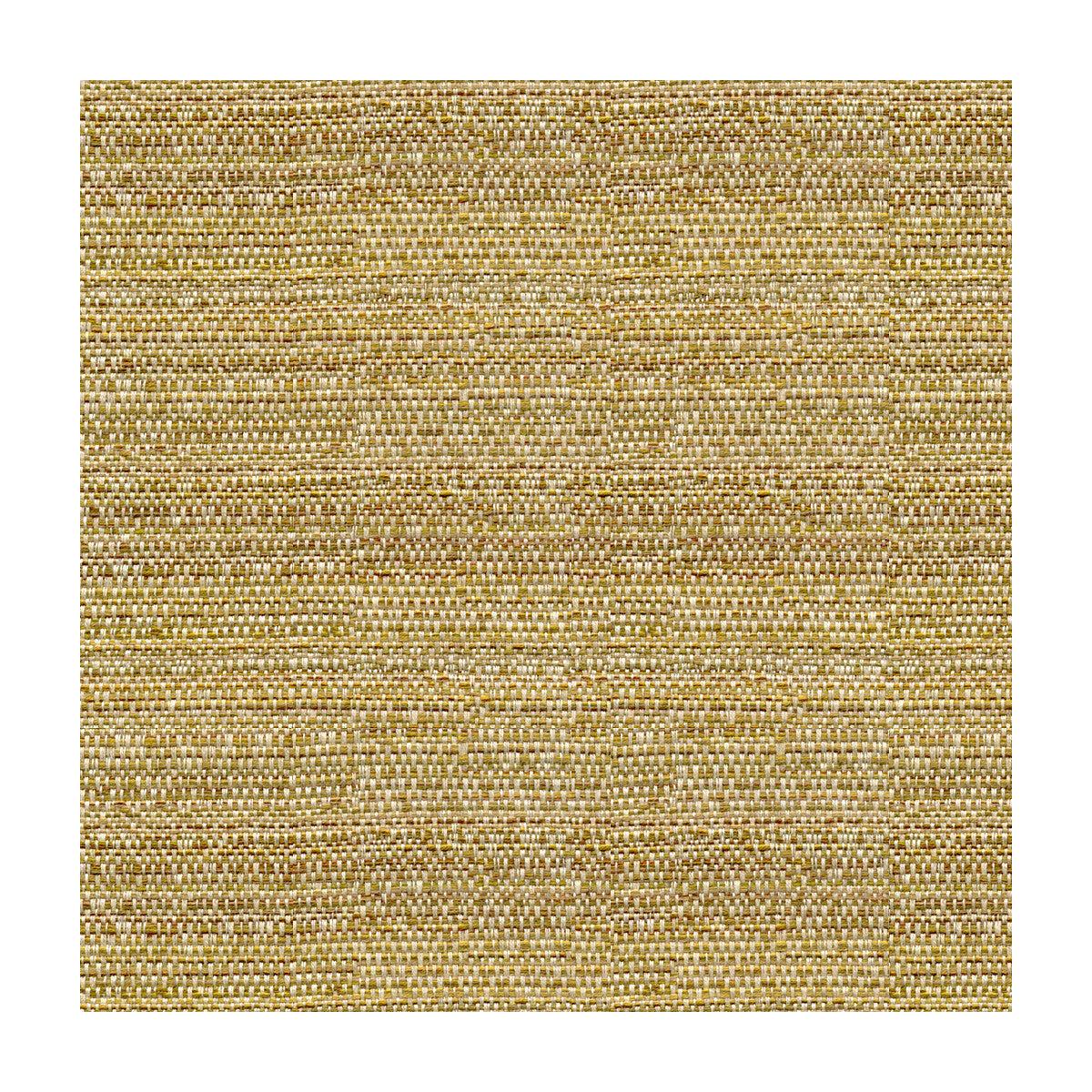 31695.416.0 KRAVET COUTURE 31695-416 - KRAVET COUTURE Fabric - YARD