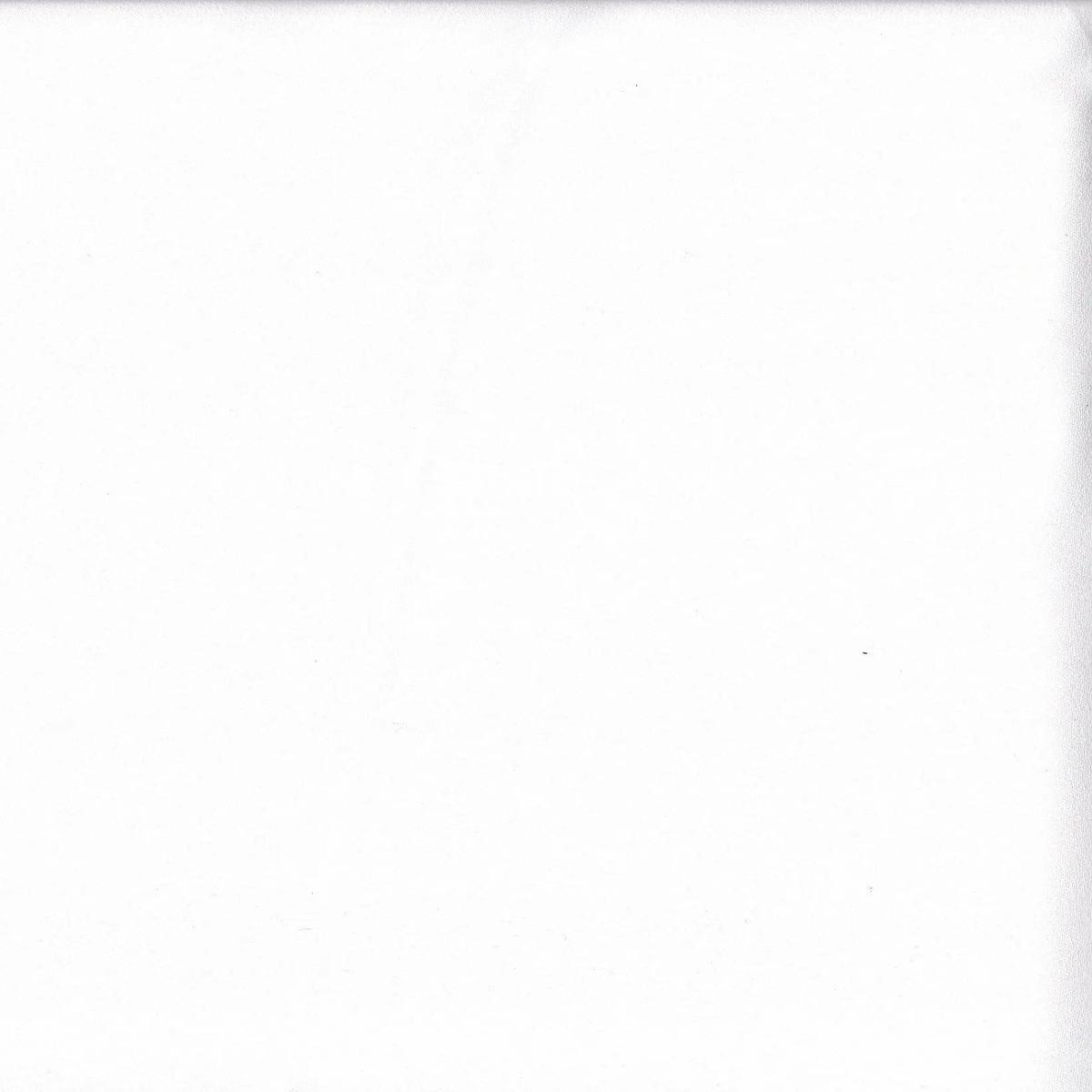Wool Solid Woven Fabric - WOOL DBY - IVORY