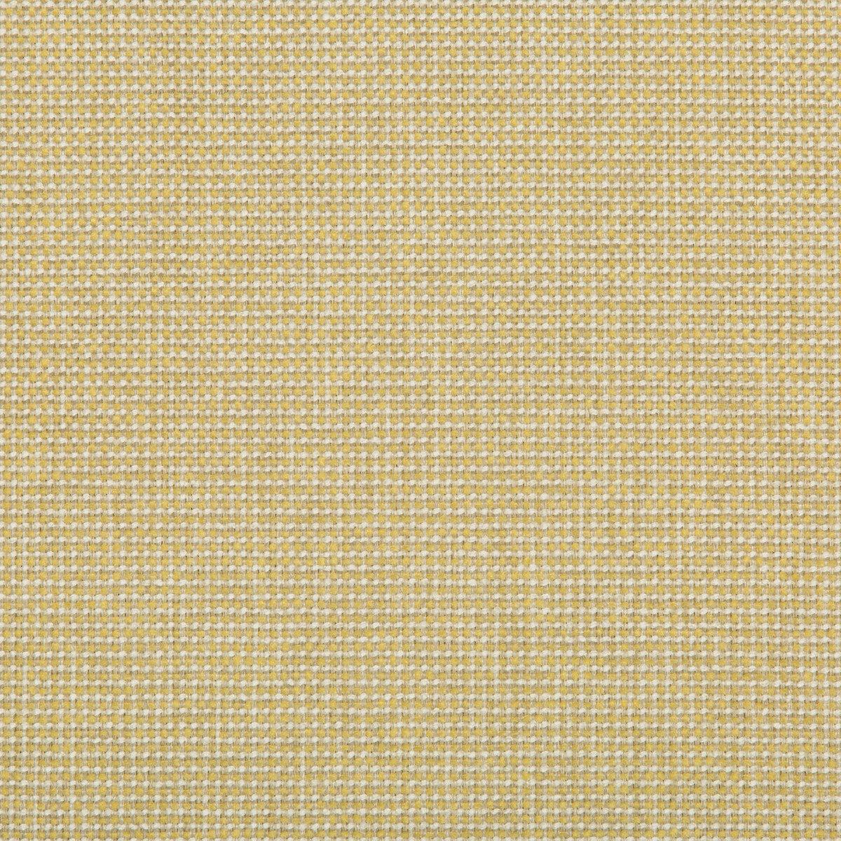 35745.14.0 BURR LEMON DROP - KRAVET CONTRACT Fabric - Yard