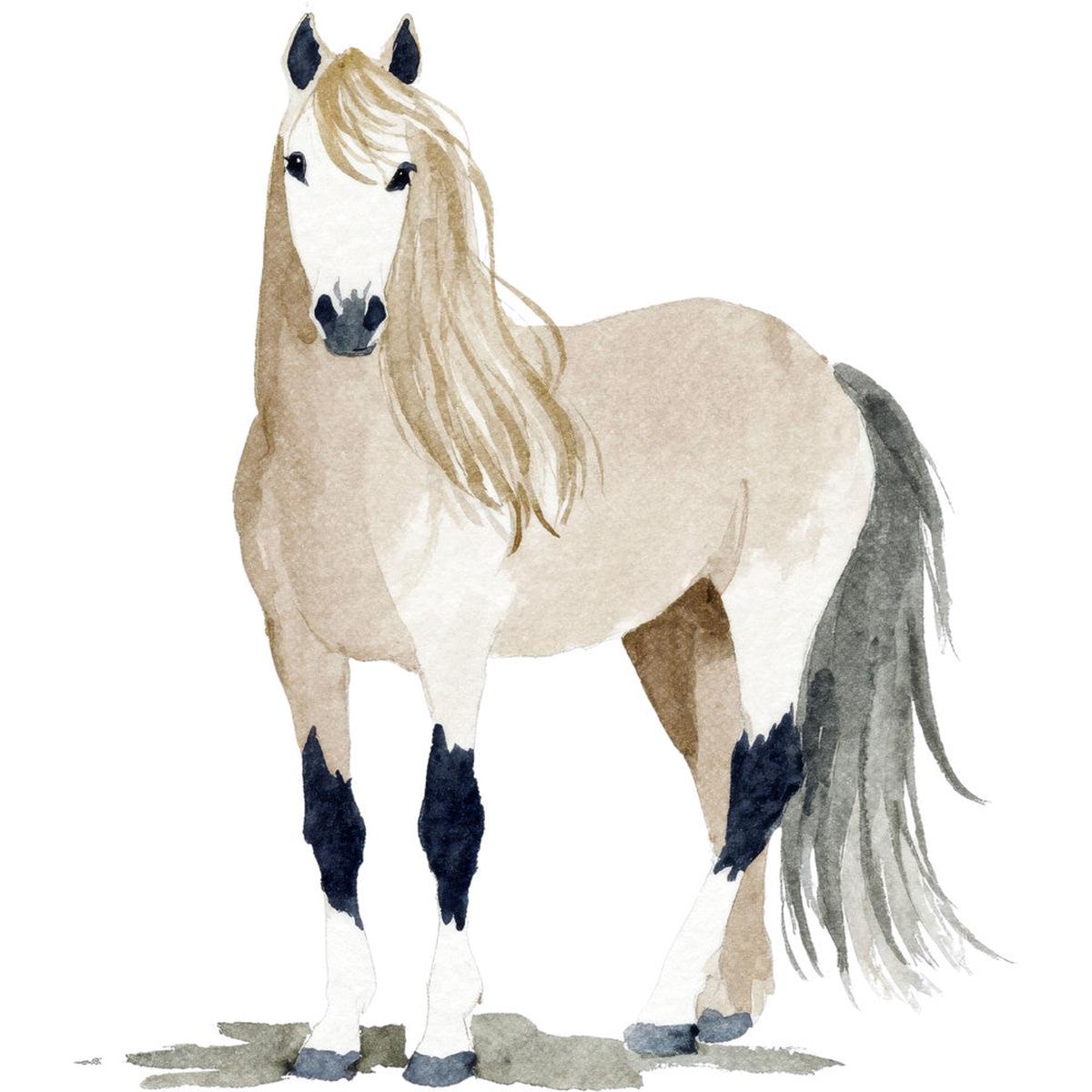 Watercolor Horses Fabric Panel 49