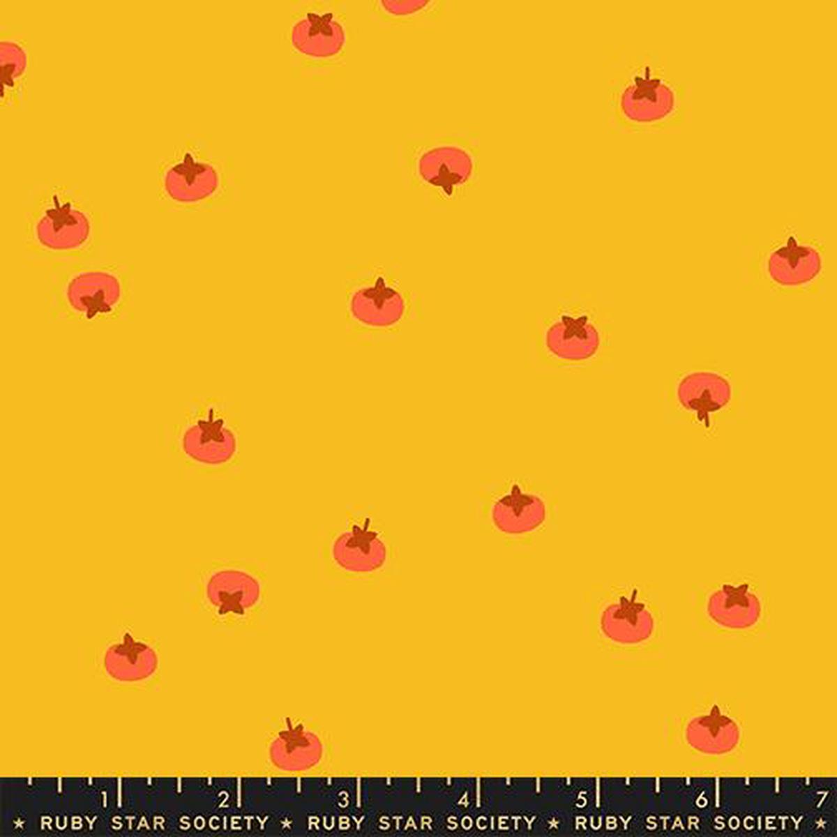 *Preorder* DANDELION Persimmons, Persimmon by Rashida Coleman Hale for Ruby Star Society
