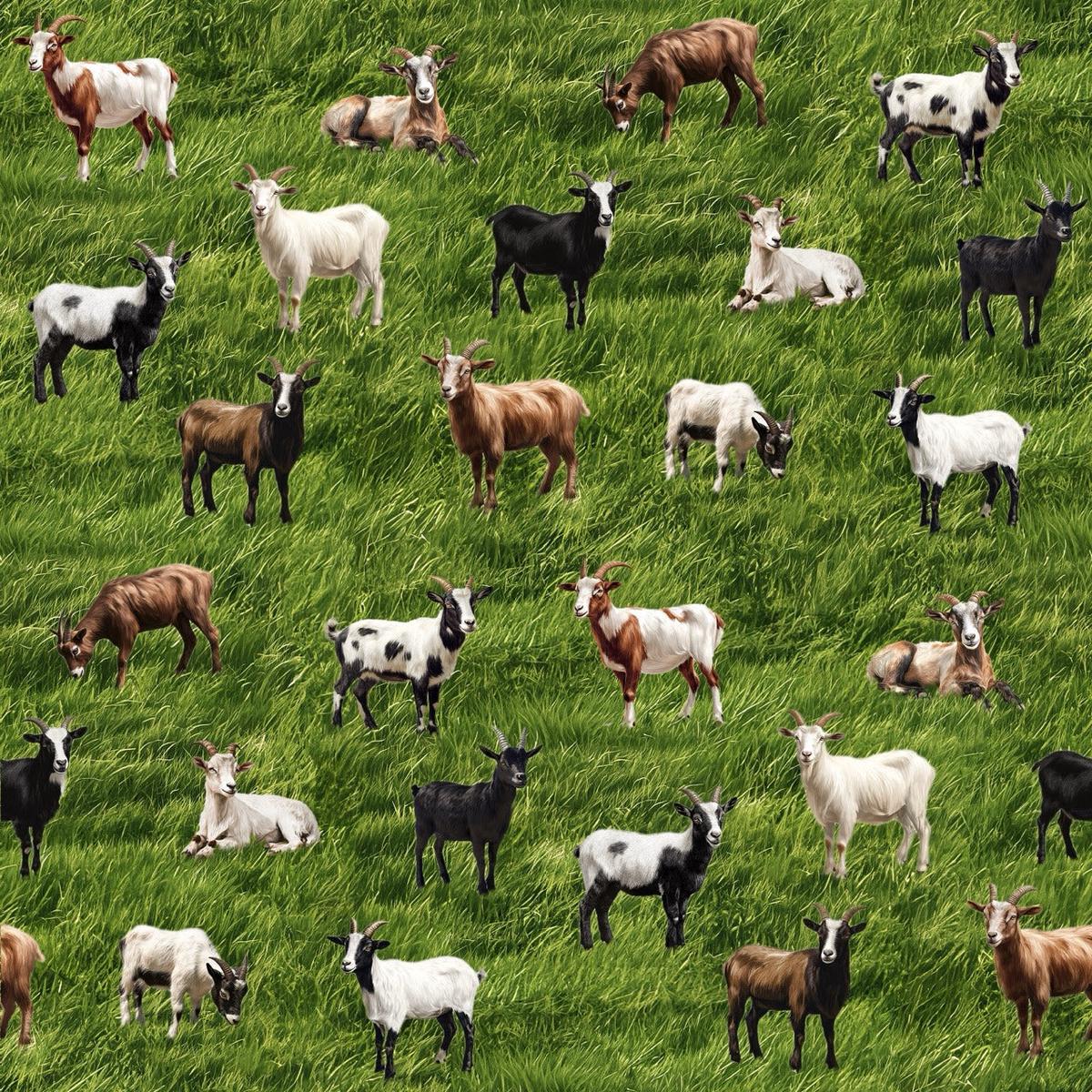 Goats Galore Cotton Fabric - 1 yard