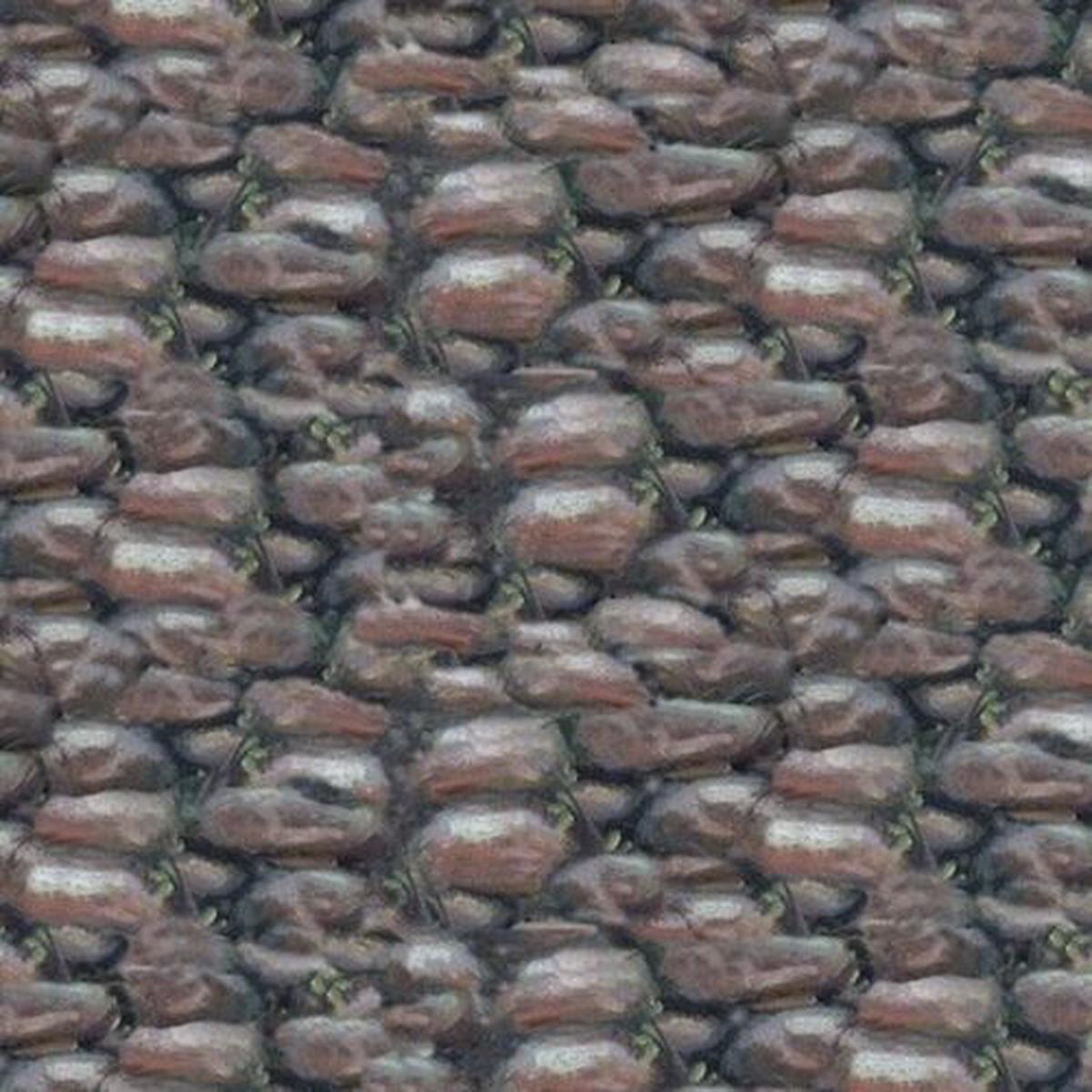 Show Dogs Allover Rocks Cotton Fabric