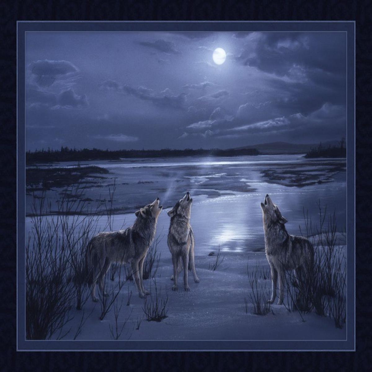 Moonsong Study Wolf Panel Cotton Fabric - 1 yard