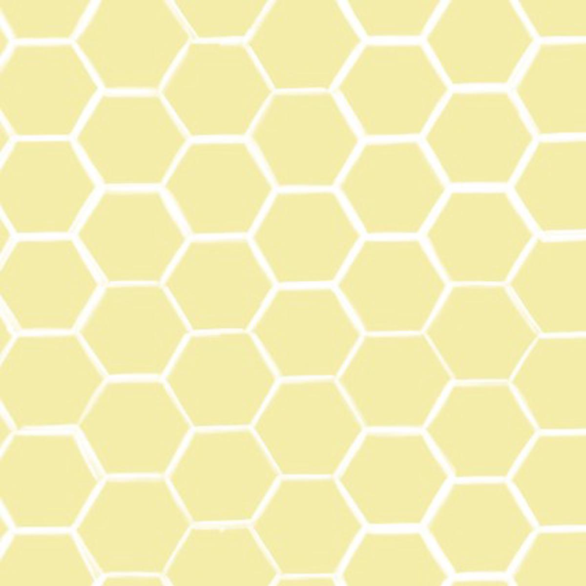 Sunflower Garden Honeycomb Cotton Fabric - 1 yard