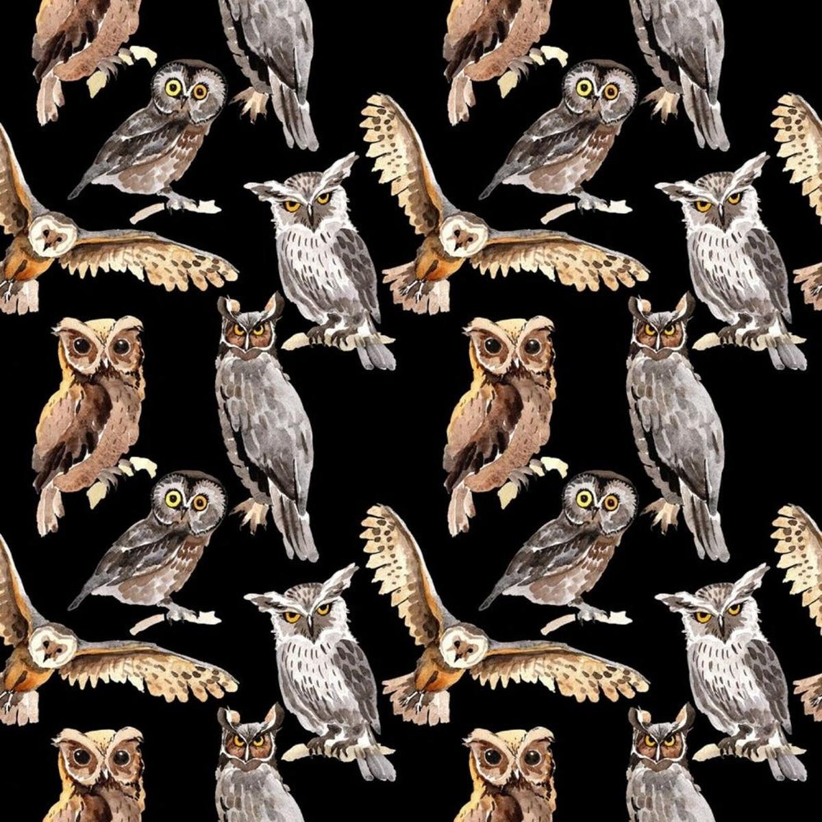 Tossed Owls Allover Cotton Fabric - 1 yard