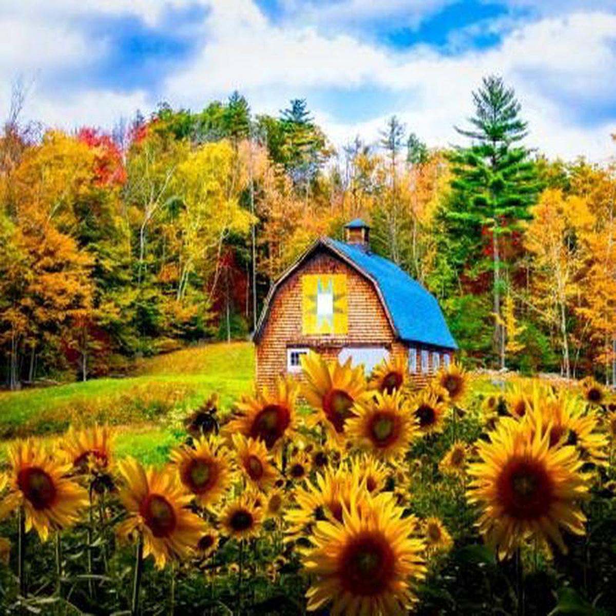 Autumn Sunflower Farm Panel 368243 Four Seasons Collection David Textiles Cotton fabric DT-AL-5778-2C-1