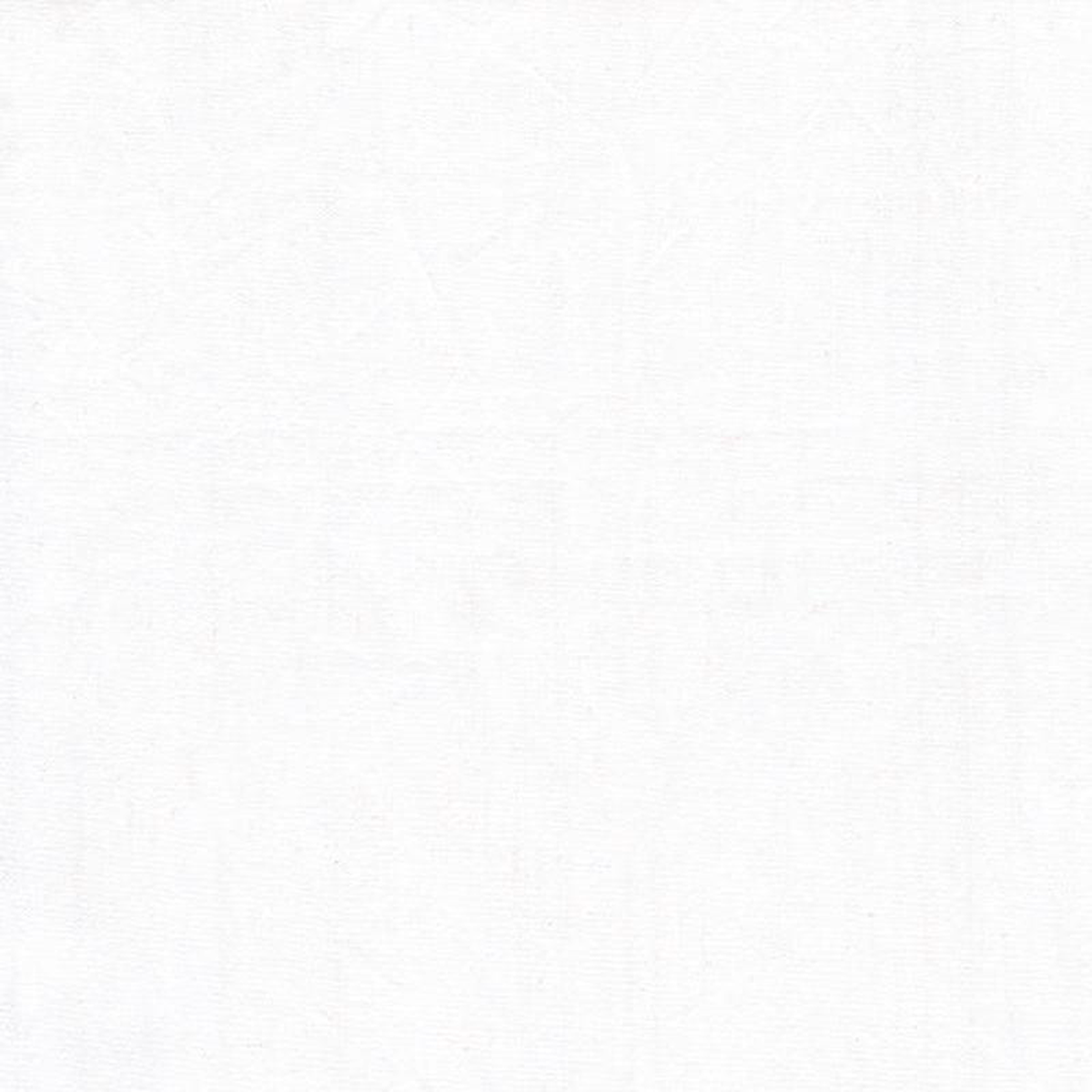 Artisan Cotton Solid WhiteWhite Another Point of View Windham Fabrics Cotton Fabrics WF-40171-120