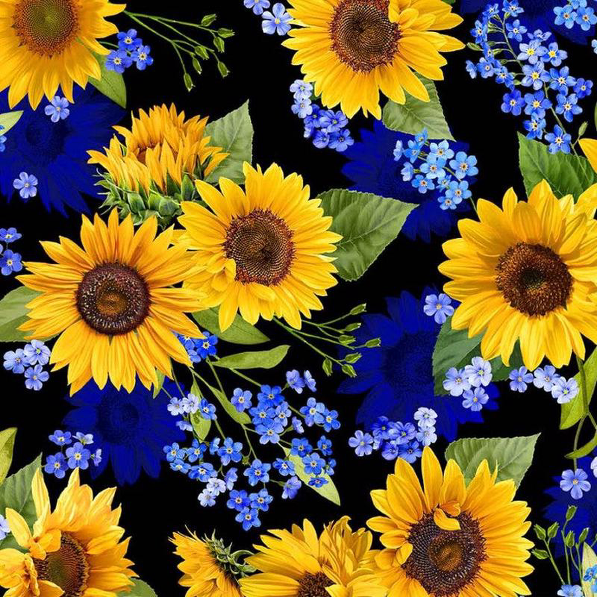 Summer Sunflower Blooms Black Michael Miller Cotton Fabric MM-DC BLAC-D