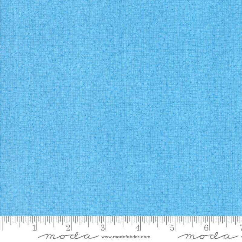 Thatched Sky Blue Robin Pickens Moda Cotton Fabric MD 48626 93 1/2