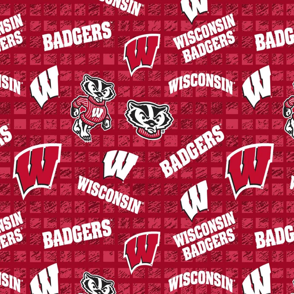 Wisconsin Badgers NCAA College 108