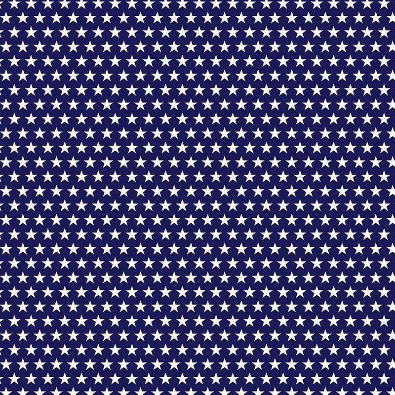 BBQ Season USA Stars Navy Gail Cadden Timeless Treasures Cotton fabric TT-GAIL-CD2000