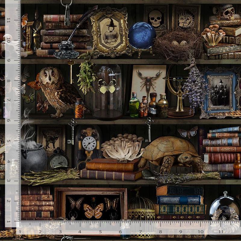 Apothecary Witch Book Shelf Repeat Brown Timeless Treasures Cotton Fabric TT-LIBRARY-CD2877-BROWN 1/2
