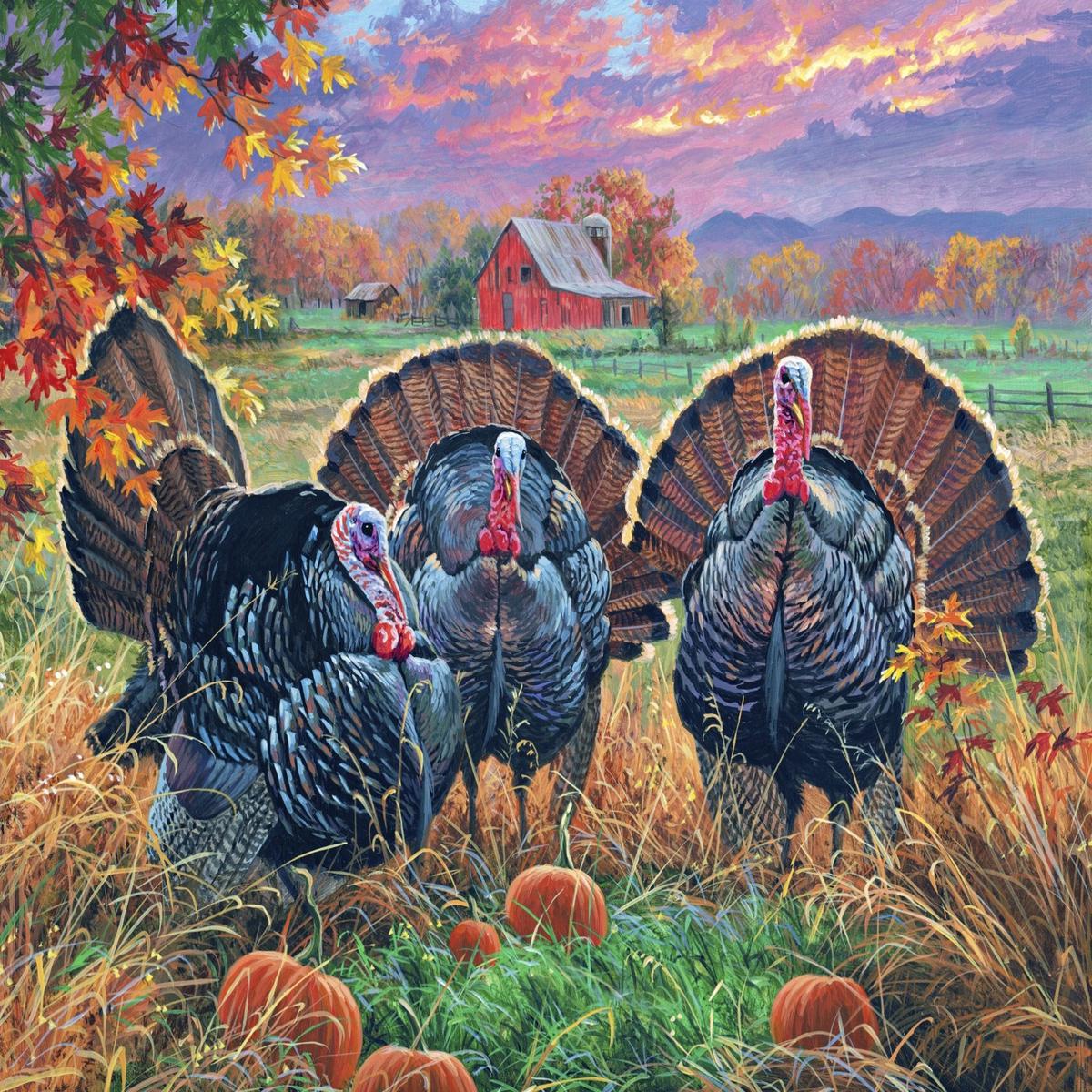 Bountiful Harvest Thanksgiving Turkeys 36