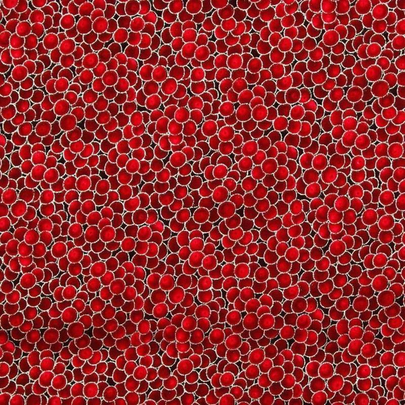 Winter Magic Berries Red Silver Metallic Hoffman Cotton Fabric 1/2