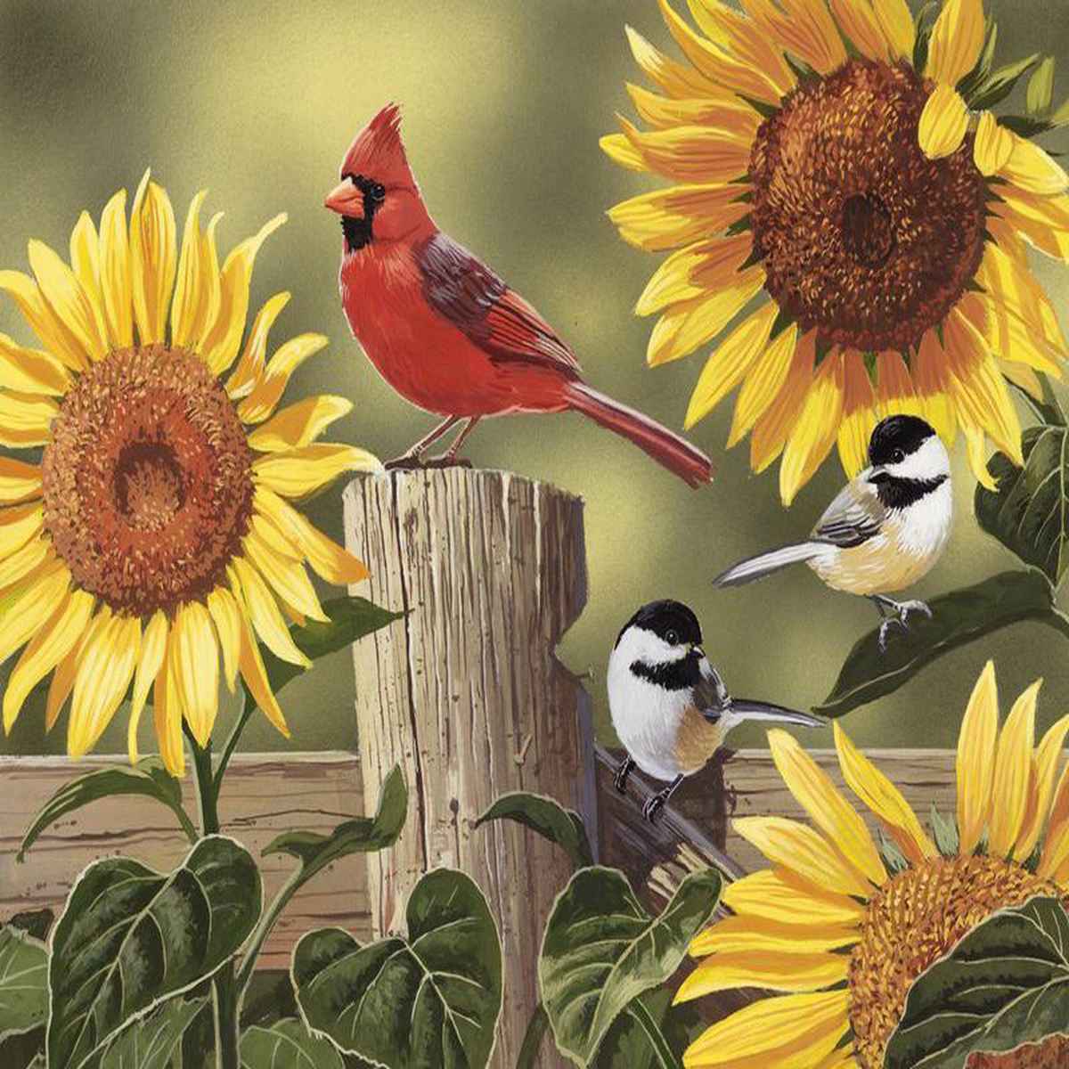 Sunflowers Birds Cardinal Panel 368243 David Textiles Cotton Fabric DT-AL-4167-0C-1 Multi