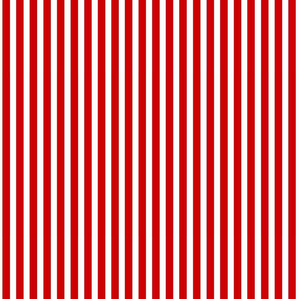 BBQ Season USA Stripes Red Gail Cadden Timeless Treasures Cotton Fabric 1