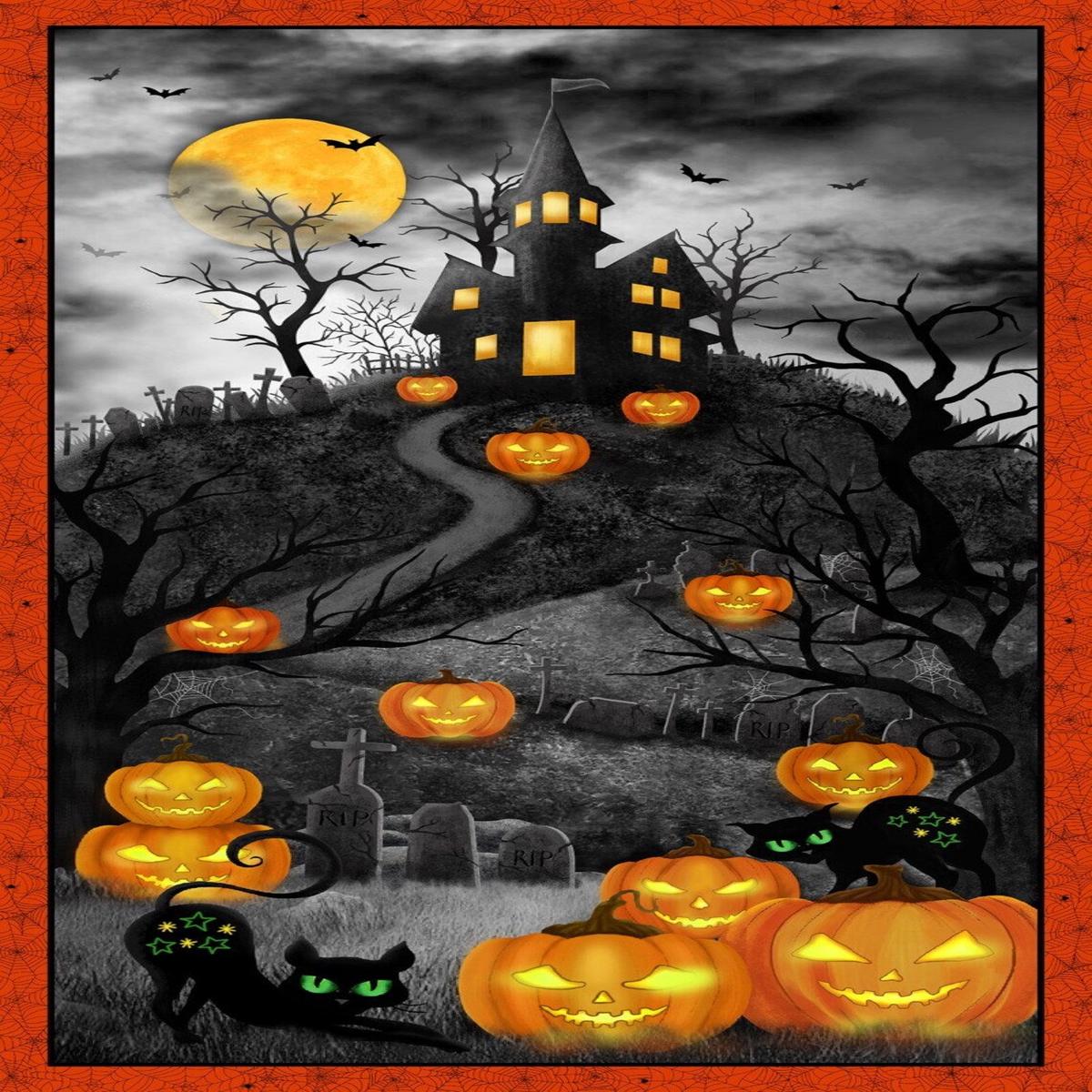 Trick or Treat Haunted House Panel 24