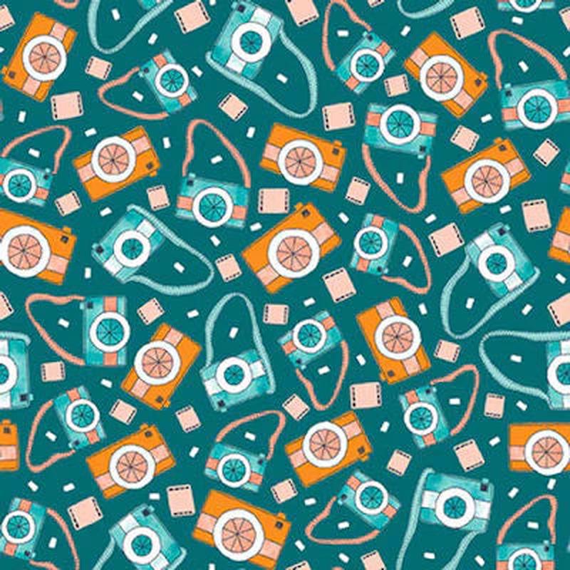 Welcome To Our Neighborhood Cameras Dark Teal Mel Rowlands Studio E Cotton Fabric 1/2