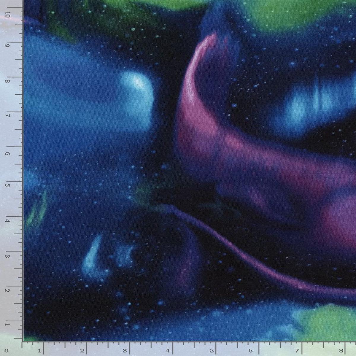 Winter Lights Northern Lights Multi Timeless Treasures Cotton Fabric TT-Nature-CD2685-MULTI 1/2