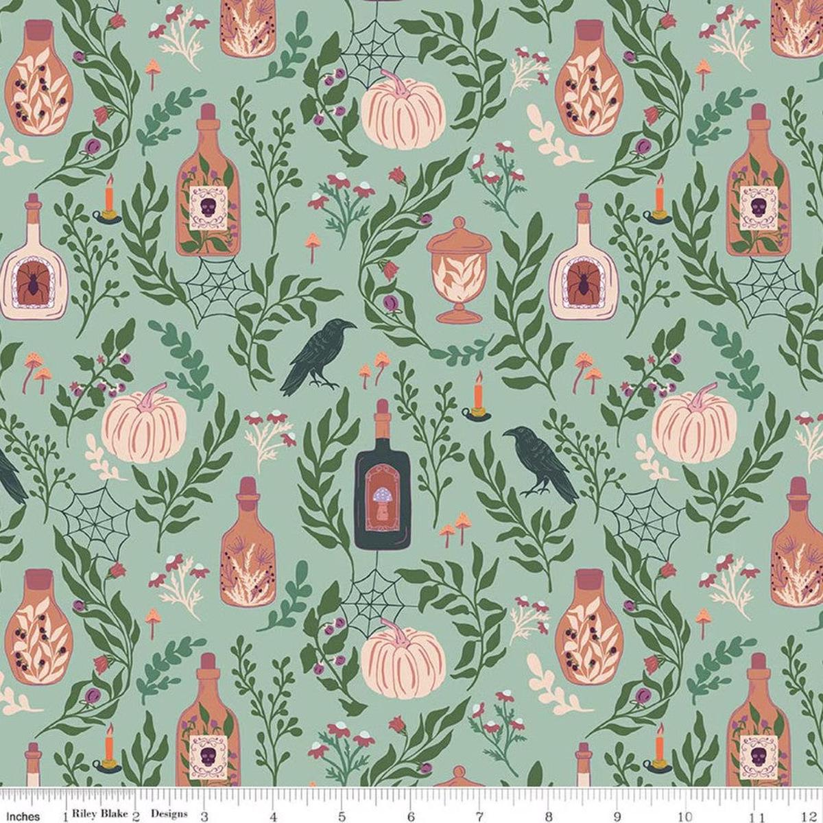 The Apothecary Main Mint Amber Elliot Riley Blake Designs Cotton Fabric RB-C17550-MINT