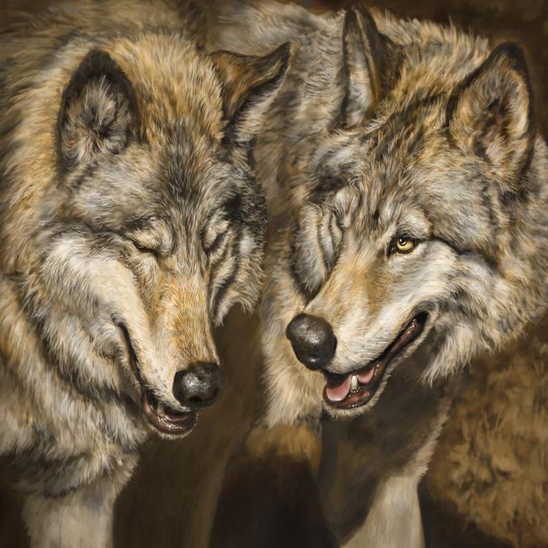 Two Wolves Panel 36