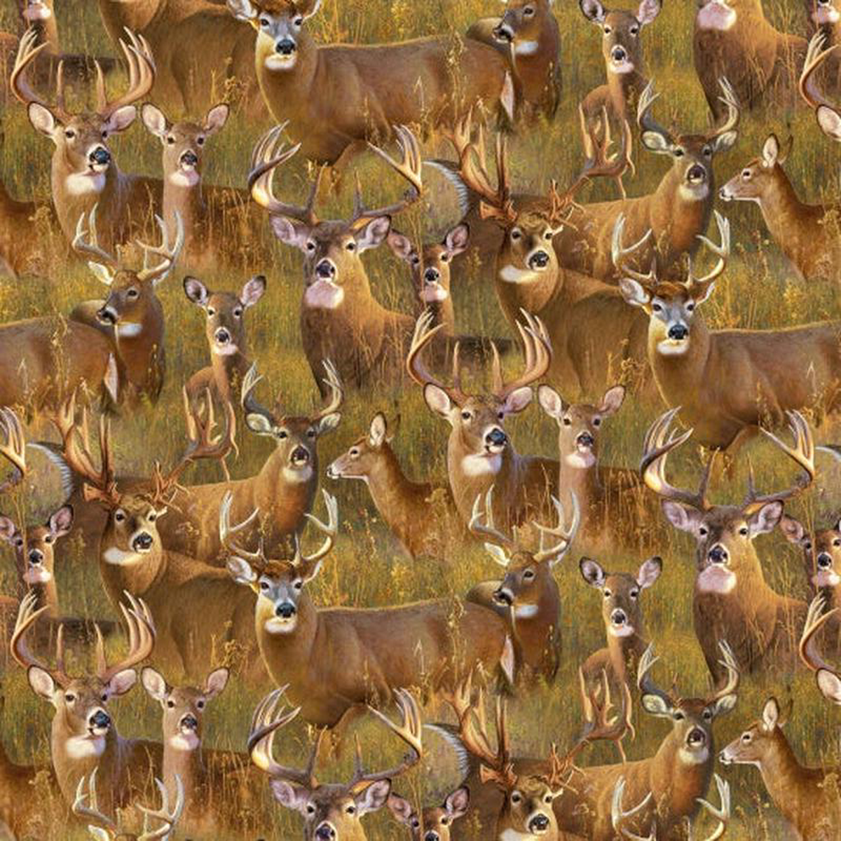 A Buck Stops Here Packed Deer Gold Hayden Lambson Elizabeth8217s Studio Cotton Fabric ES-44002-Gold