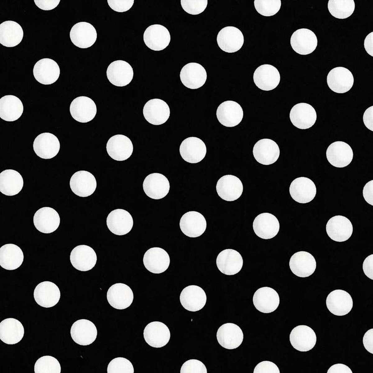 Black 038 White Quarter Dot Black Michael Miller Cotton Fabric