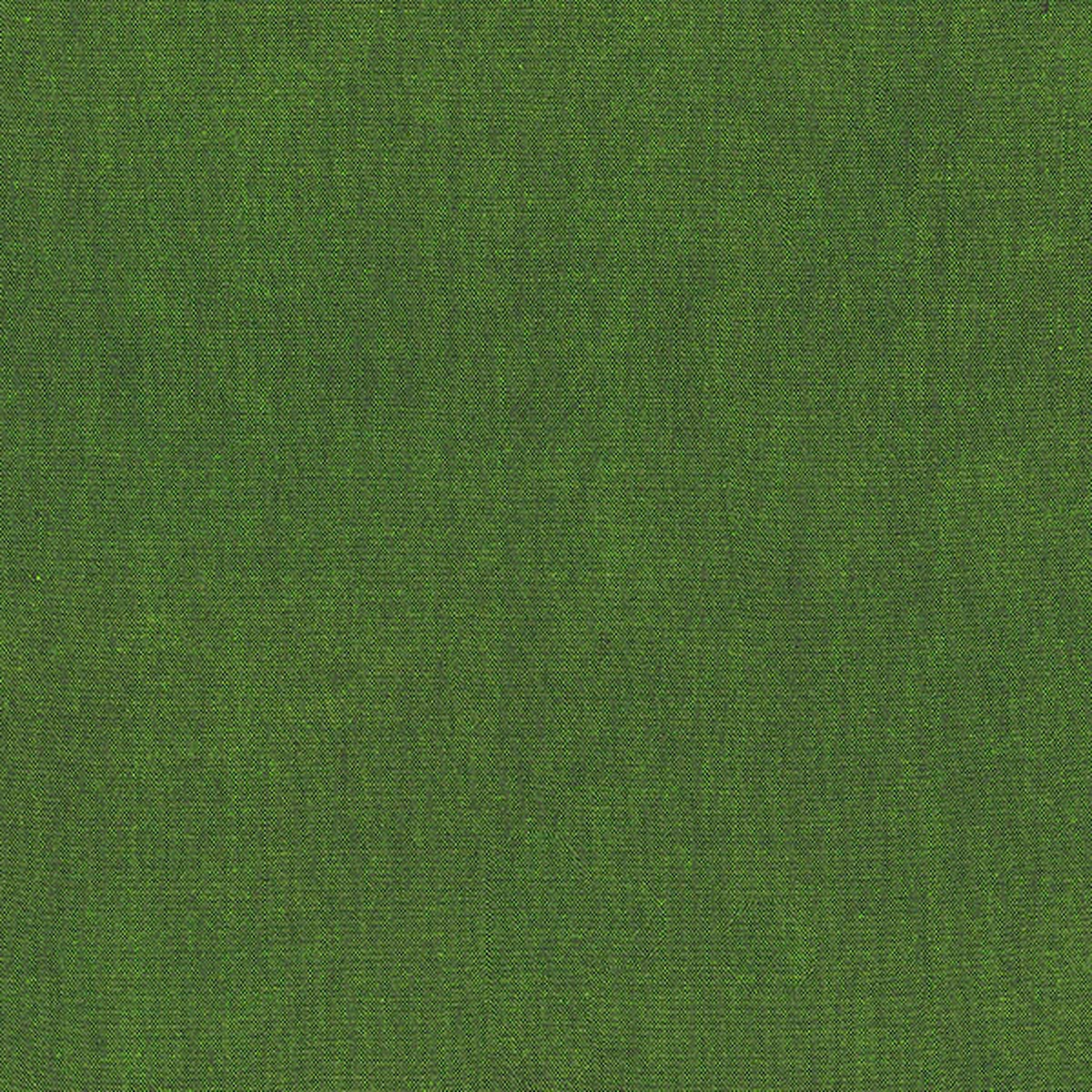Artisan Cotton Solid Green/Grass Another Point of View Windham Fabrics Cotton Fabrics WF-40171-84