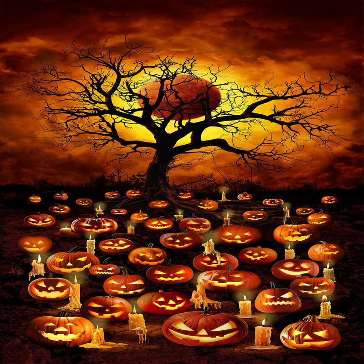 All Hallows Eve Jack O8217Lantern Blood Moon Panel 248243 Orange Timeless Treasures Cotton Fabric TT-PANEL-CD2914-ORANGE