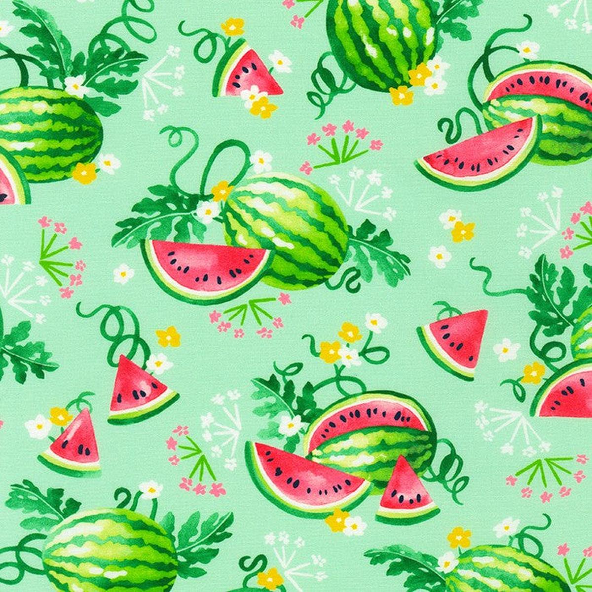 Wishwell Sweetness Watermelons Mint Vanessa Lillrose & Linda Fitch Robert Kaufman Cotton Fabric 1/2