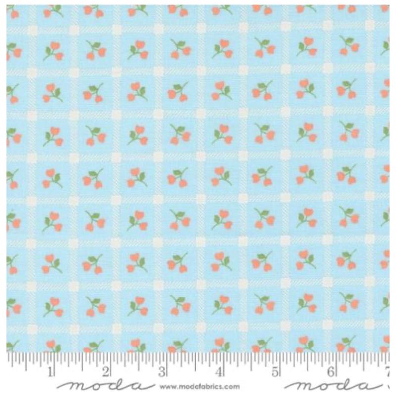 Dainty Meadow ~ Picnic Petals 31742 22 Sky