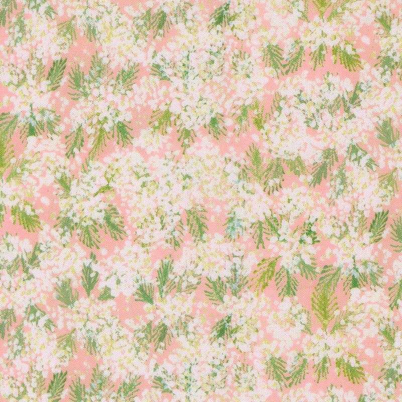Sweet Cecily ~ Queen Ann ~ 24642 11 Rose