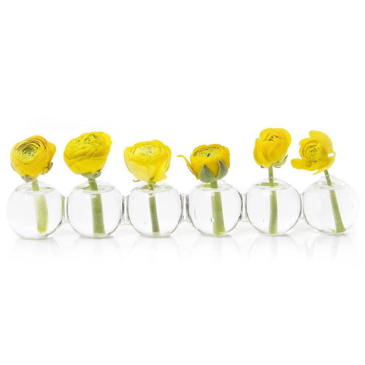 Caterpillar Clear Glass Bud Vase Long. Small And Large