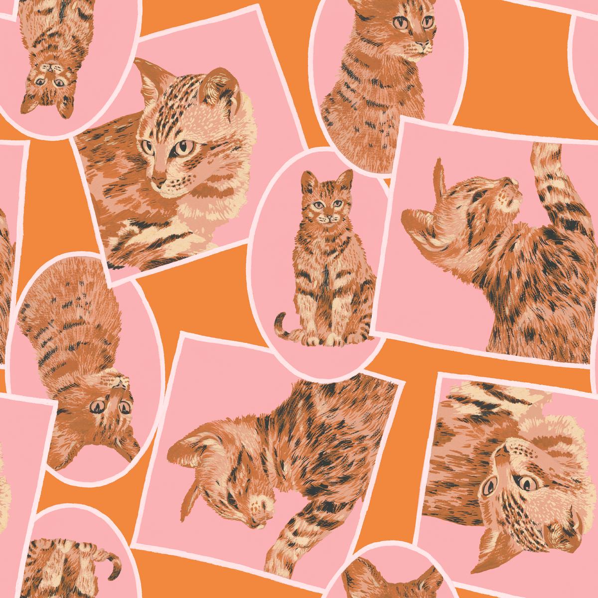 Cat Frames on Orange Fabric