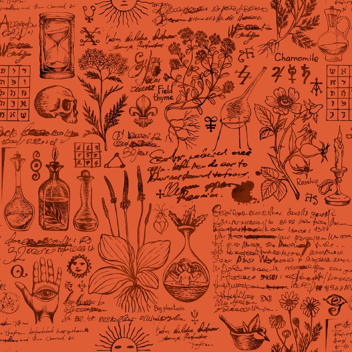 Kate Ward Thacker - Botanical Alchemy - Orange Fabric