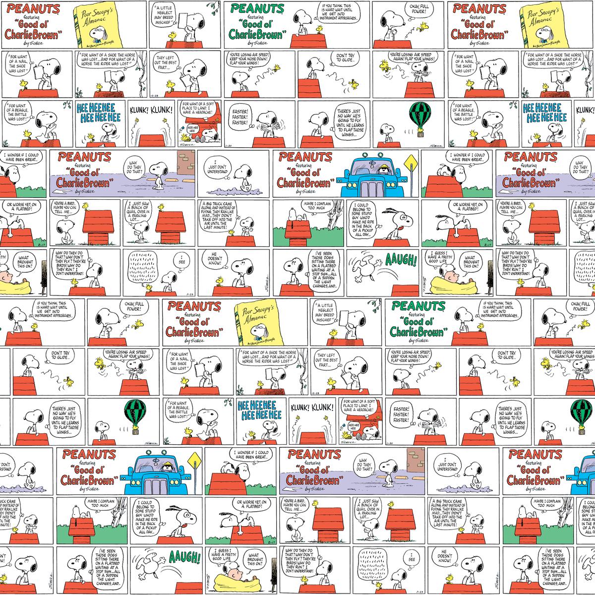 Peanuts Snoopy Comic Strip Collage Fabric