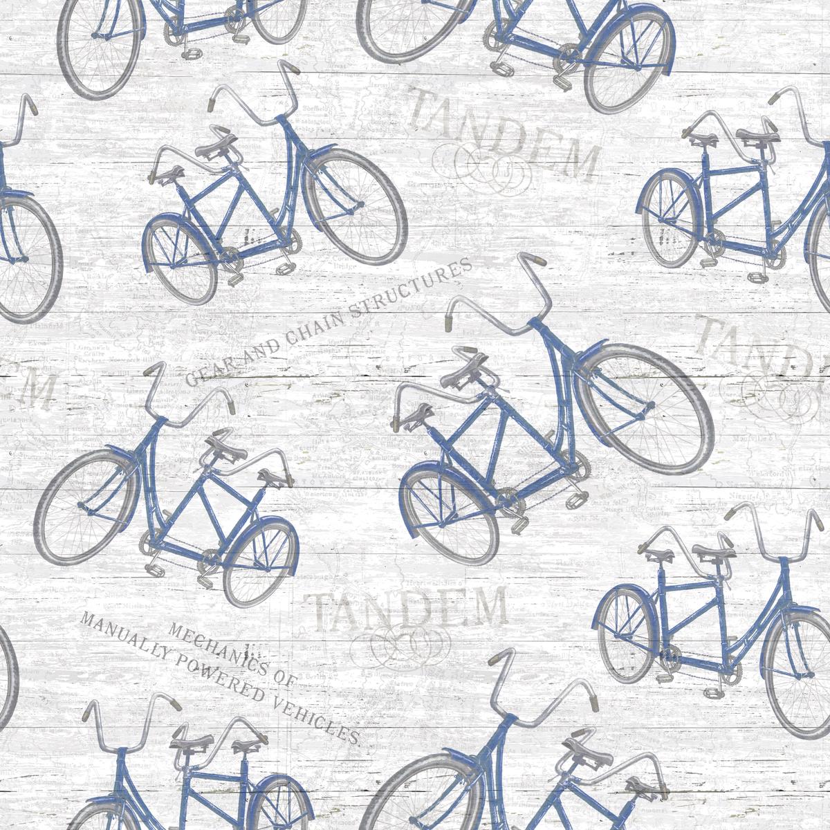 Tim Coffey - Tandem Journey - Blue Bicycle Fabric