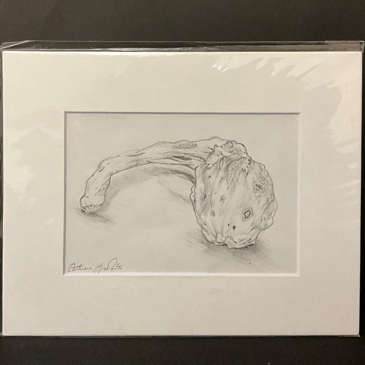 Gourd Original Matted Drawing