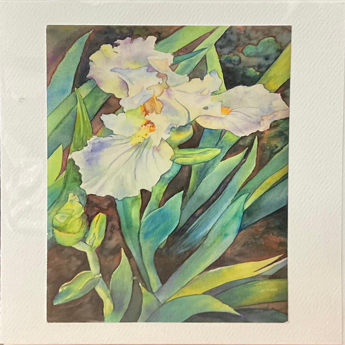 Spring Iris Note Card