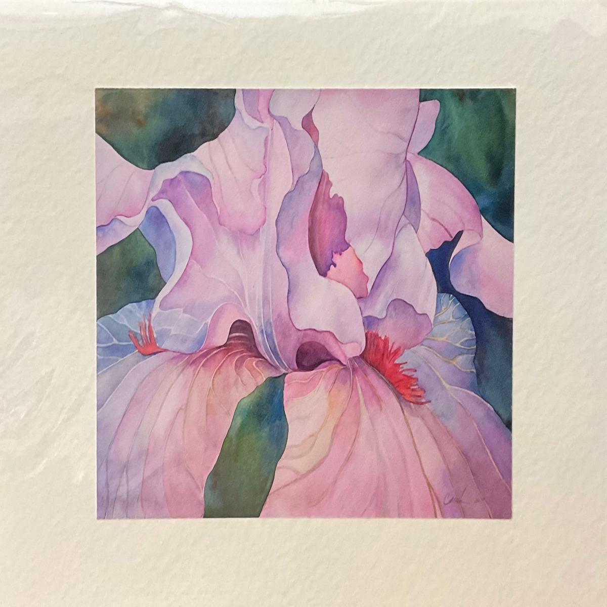 Pink Iris Note Card