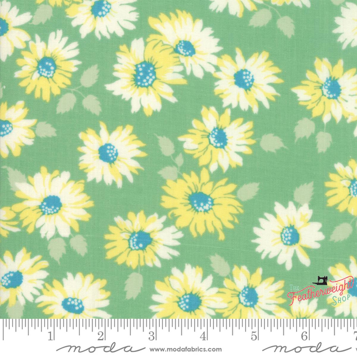 Fabric, Cheeky by Urban Chiks - FLORAL SASSY LIGHT GREEN (by the yard)
