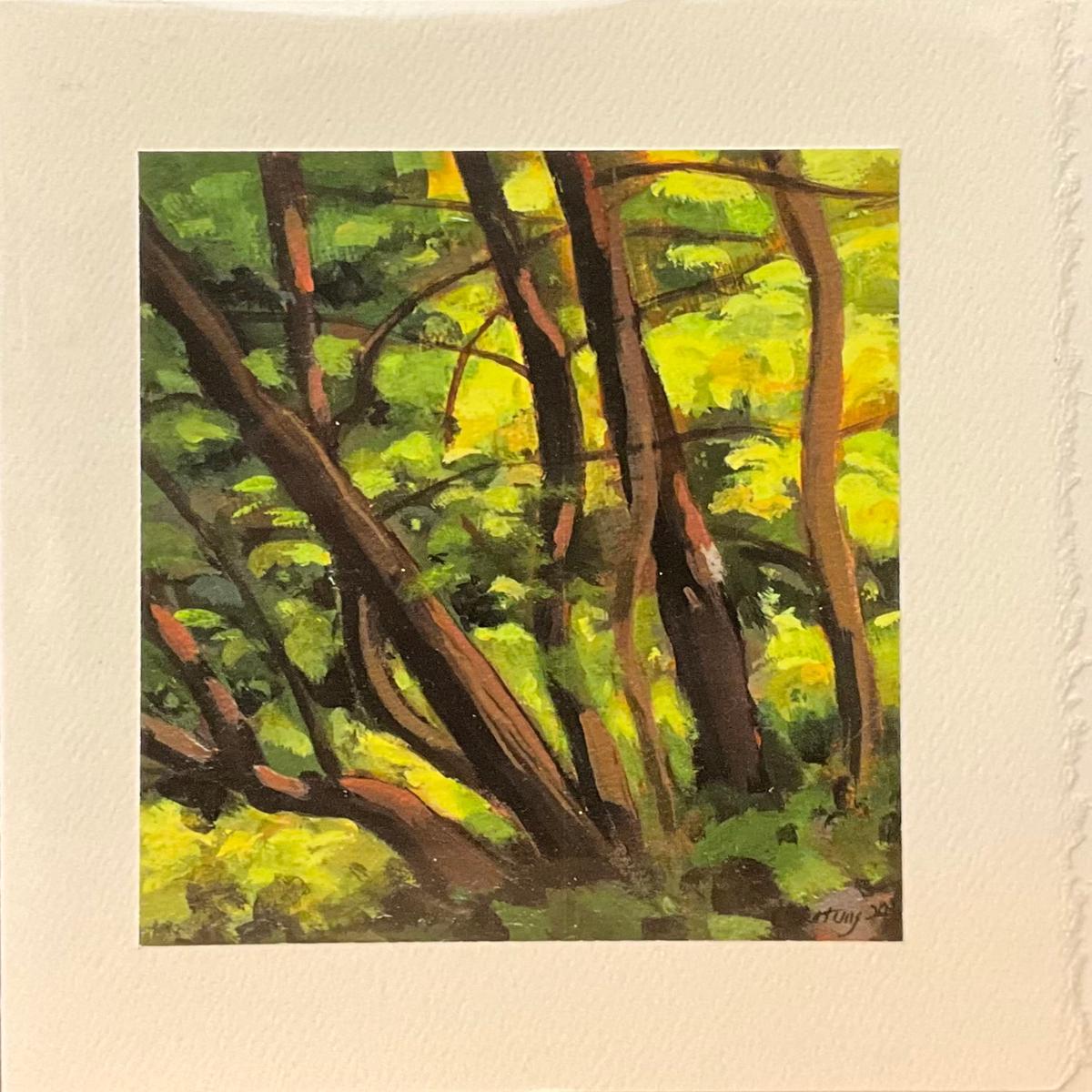 Afternoon Sunlight Note Card