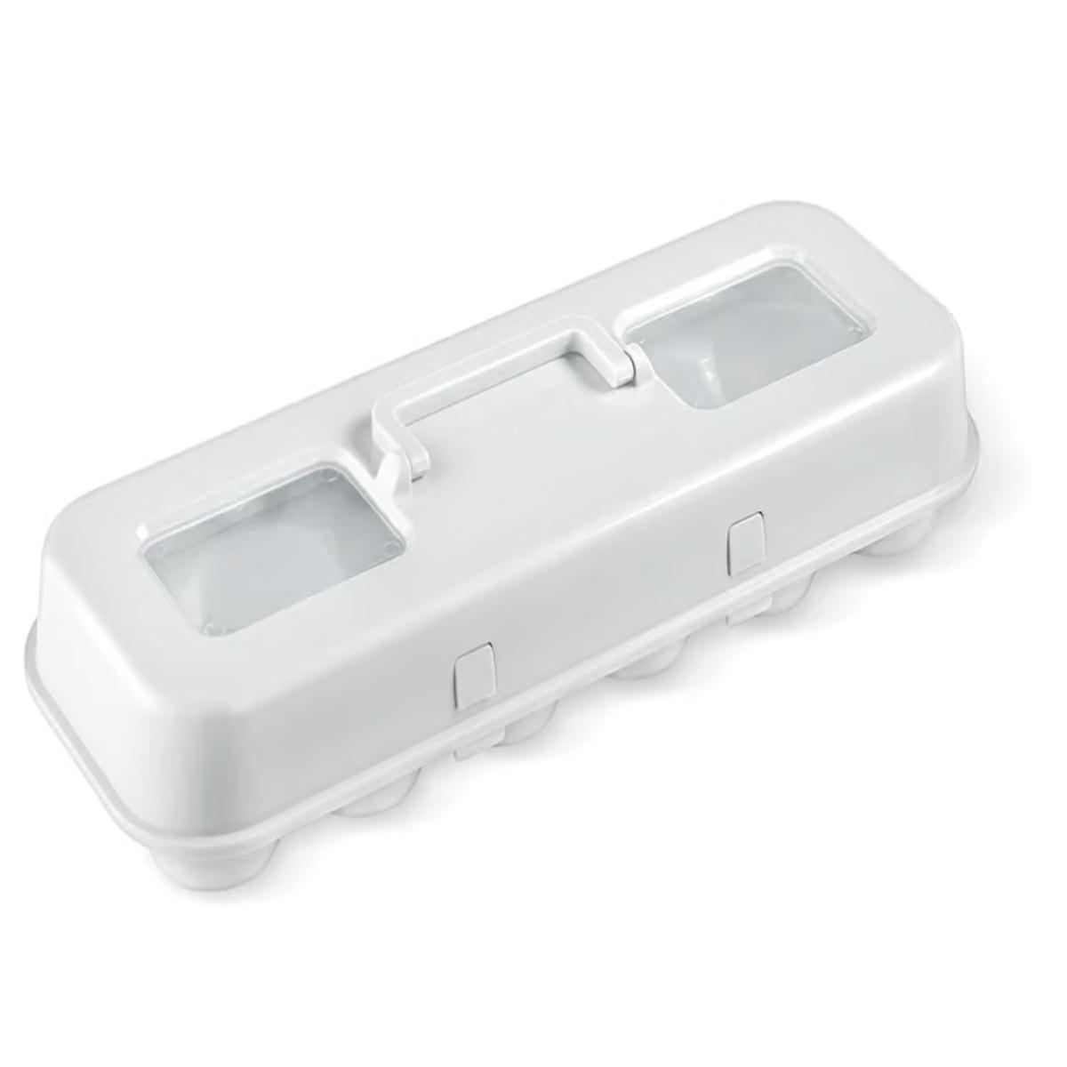 Cupcake Carton