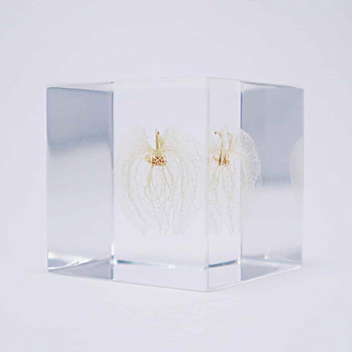 Sola Cube | Apple of Peru | Made in Kyoto