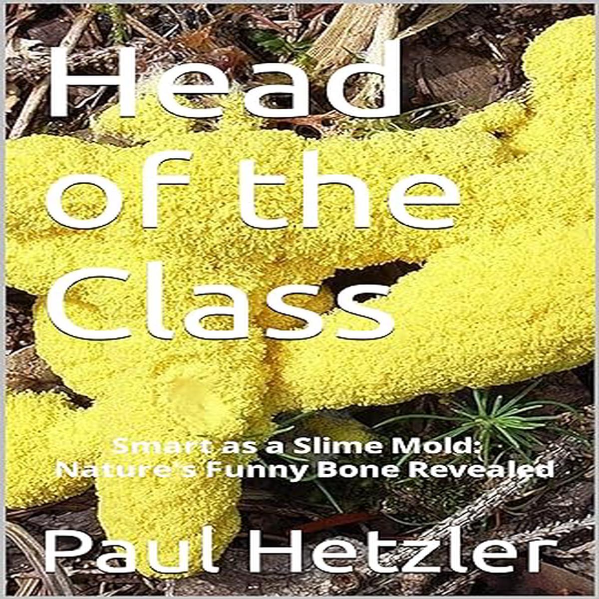 Head of the Class