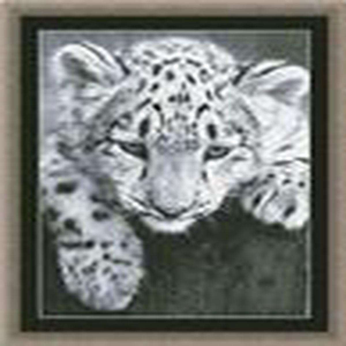 Black and White Leopard